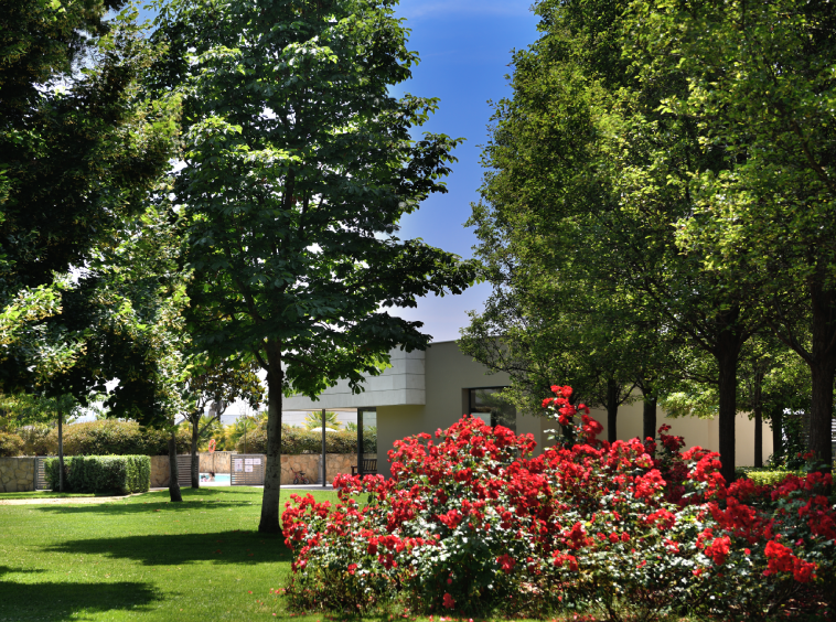 EL-VALLE-5.webp